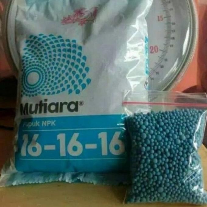 

Terlaris Media Tanam Pupuk Npk Mutiara 100 Gram / Npk Mutiara Nutrisi Tanaman