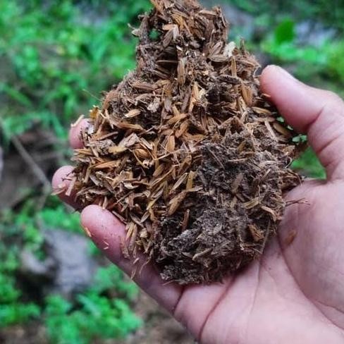 

Terlaris Pupuk Kandang Kohe Ayam Ukuran 3 Kg