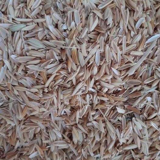 

Terlaris 5 Kg Sekam Padi Mentah