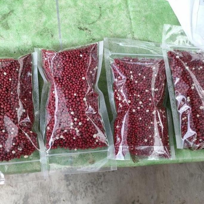 

Terlaris Pupuk Merah Npk 19-10-13