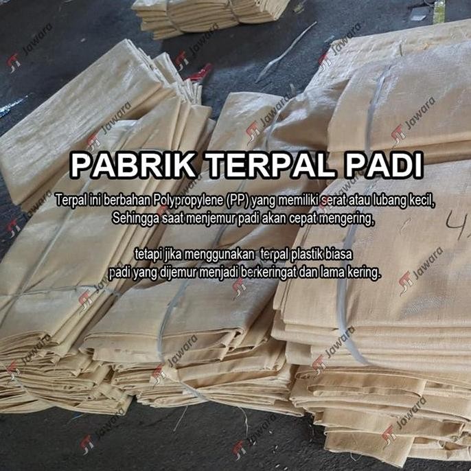 

Terlaris Terpal Hamparan Padi Ukuran 3X4