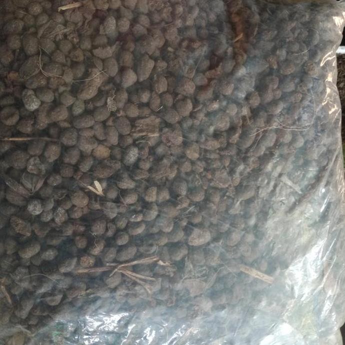 

Terlaris Pupuk Kandang Original