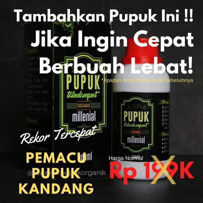 

Terlaris Pemacu Pupuk Kandang Organik Berbuah Lebat !!!