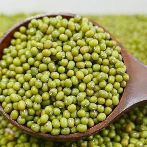 

Terlaris Kacang Hijau 1Pack