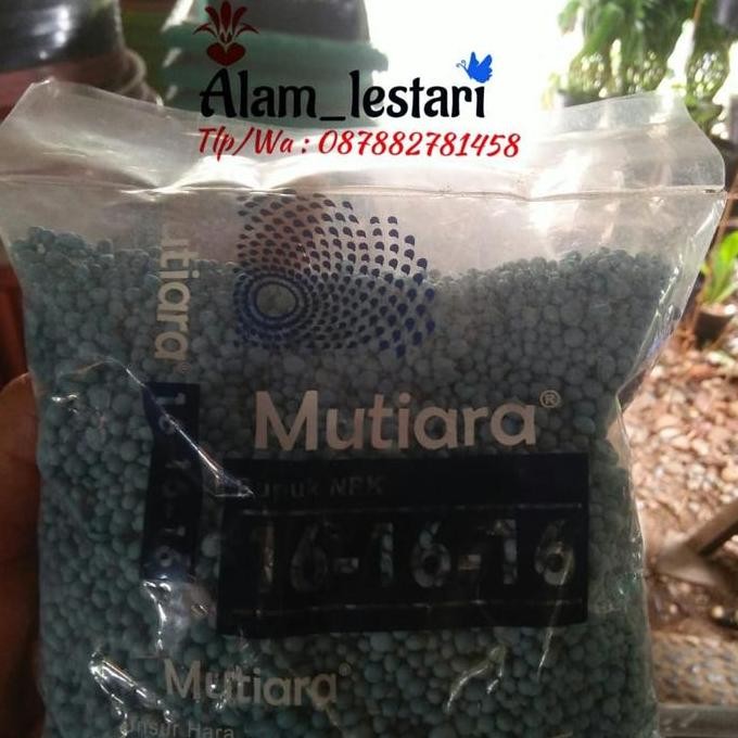 

Terlaris Pupuk Npk Mutiara