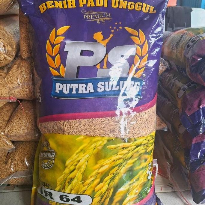 

Terlaris Benih Padi Unggul Ir 64 Putra Sulung-5Kg