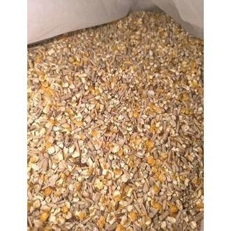 

Terlaris Promo Pakan Campur Ayam Burung Dara Jagung Beras Merah Pur Gabah 1Kg