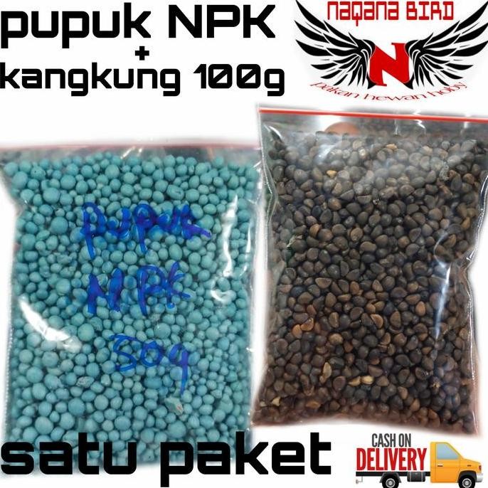 

Terlaris Pupuk Npk Mutiara + Bibit Kangkung Paket Pertanian