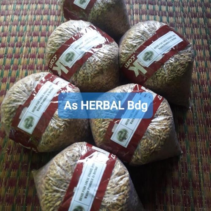 

Terlaris Benih Padi Lokal Unggul Dan Pulen