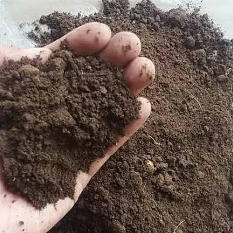 

Terlaris Media Tanam Pupuk Kandang Organik Kohe Steril Murni