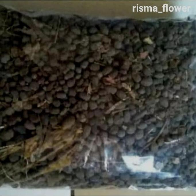 

Terlaris Pupuk Kandang Kambing 500G