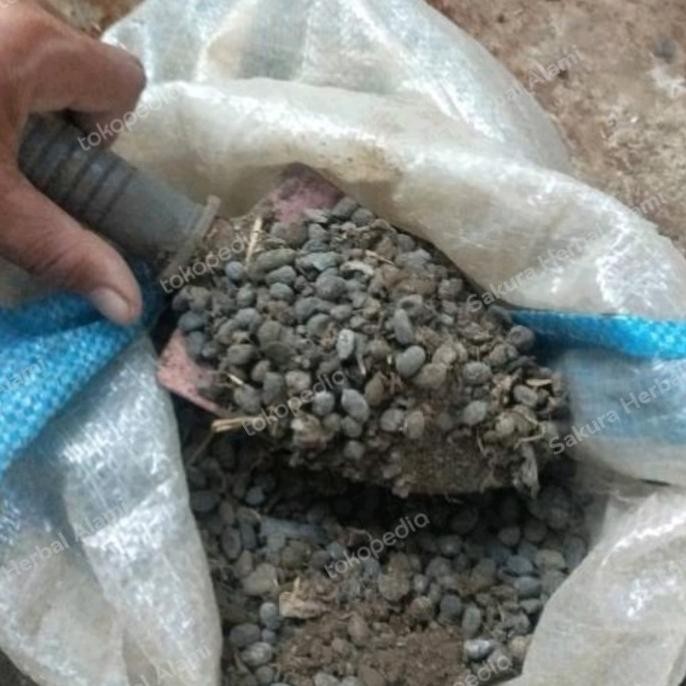 

Terlaris Pupuk Kandang Tai Kambing 1Kg