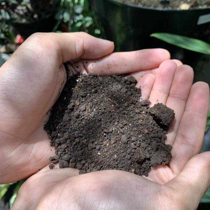 

Terlaris 3K0! Pupuk Kandang Kambing Fermentasi Organik - 10 Kg
