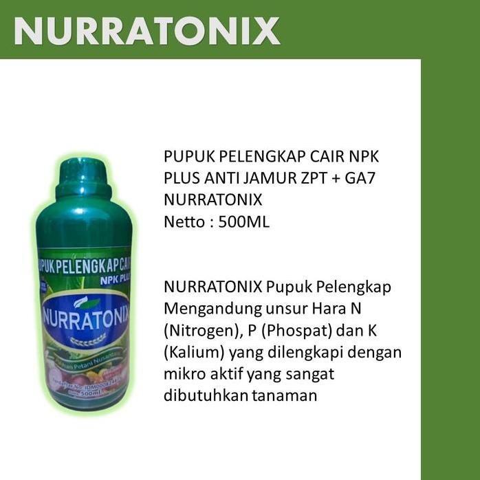 

Terlaris Npk Nurratonix 500 Ml Pupuk Penyubur Bawang Daun Terbaik, Pupuk Pelebat Bawang Daun Ampuh Bisa Untuk Semua Jenis Tanaman Bawang Daun,Bawang Merah,Bawang Putih Dll