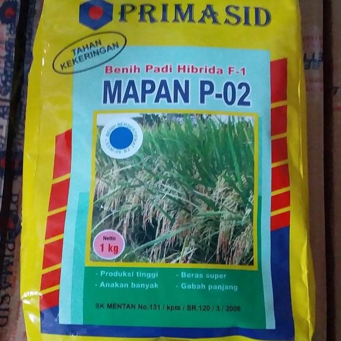 

Terlaris Benih Padi Mapan 02