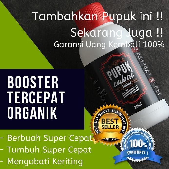 

Terlaris Terdasyat!! Pemacu Pupuk Kandang Tanaman Cabe / Cabai Super Cepat Ori