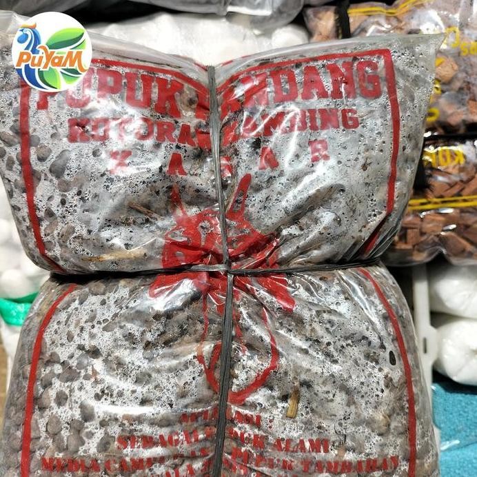 

Terlaris Pupuk Kandang Kambing Murni Siap Pakai