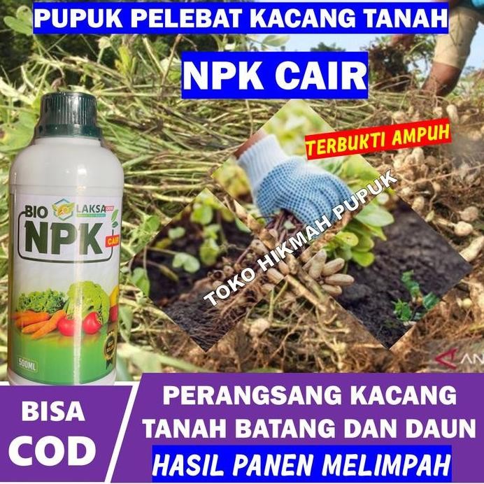 

Terlaris Pupuk Npk Perbanyak Kacang Tanah 500 Ml - Pelebat Kacang Tanah Organik Terbaik