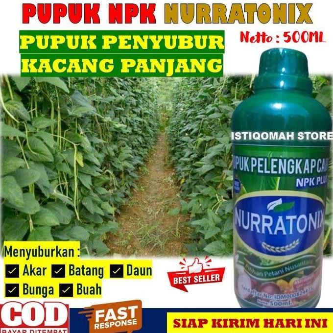 

Terlaris Pupuk Penyubur Akar Batang Daun Bunga Dan Buah Sayuran Kacang Panjang Npk Nurratonix 500Ml Pupuk Penyubur Kacang Panjang, Pupuk Daun Untuk Kacang Panjang, Pupuk Buah Kacang Panjang Super Lebat, Pupuk Pelebat Buah Kacang Panjang Bagus Terbaik