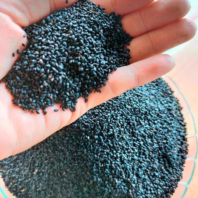 

BIJI SELASIH IMPORT 500GRAM 1/2 KILOGRAM SUDAH BERSIH GRADE A TERMURAH