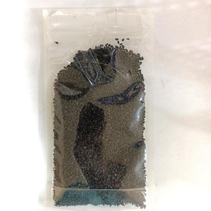 

Terlaris Wijen Hitam 50Gr