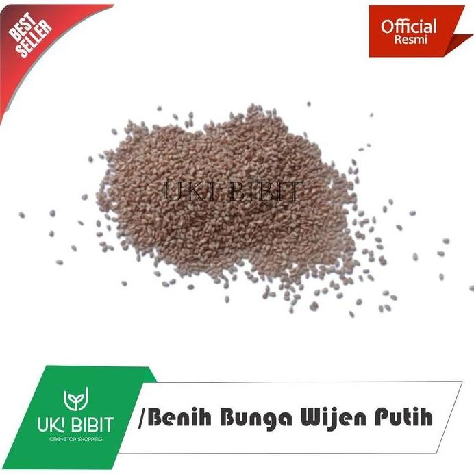 

Terlaris ( 10 Gram ) Benih Wijen Putih