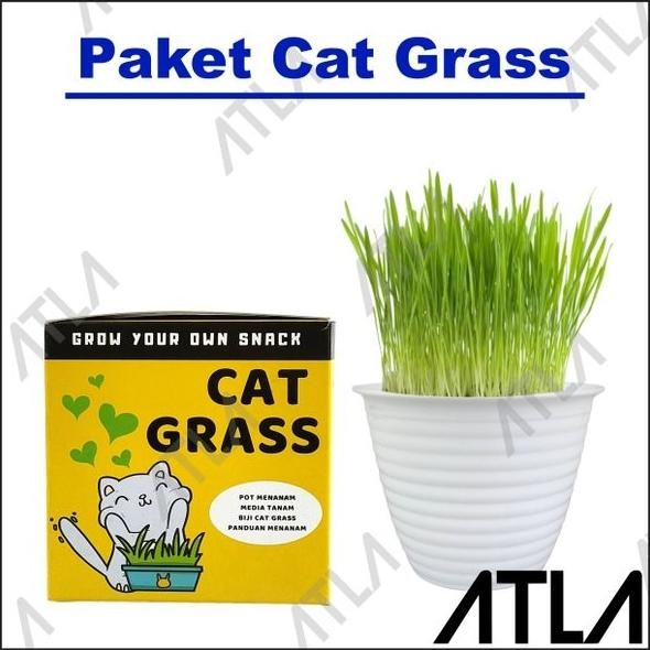 

Terlaris Paket Cat Grass Seeds Growing Kit Benih Rumput Gandum Makanan Kucing