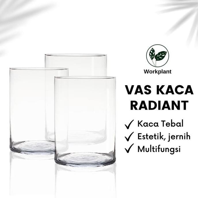Promo Vas Kaca Radiant - Vas Bunga Kaca Bening Silinder Vas Bunga Tabung COD