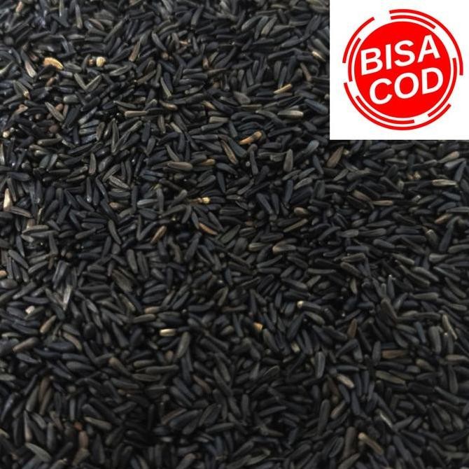 

NIGGER SEED 1KG BIJI NIGER 1KG PAKAN CAMPURAN BURUNG KENARI DLL TERMURAH