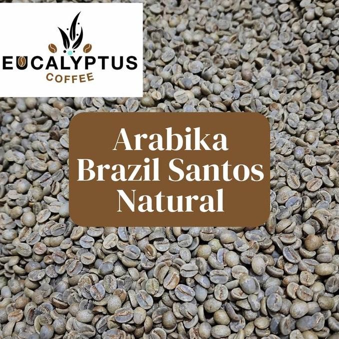 

ARABIKA BRAZIL SANTOS NATURAL - GREENBEAN / BIJI KOPI MENTAH TERMURAH