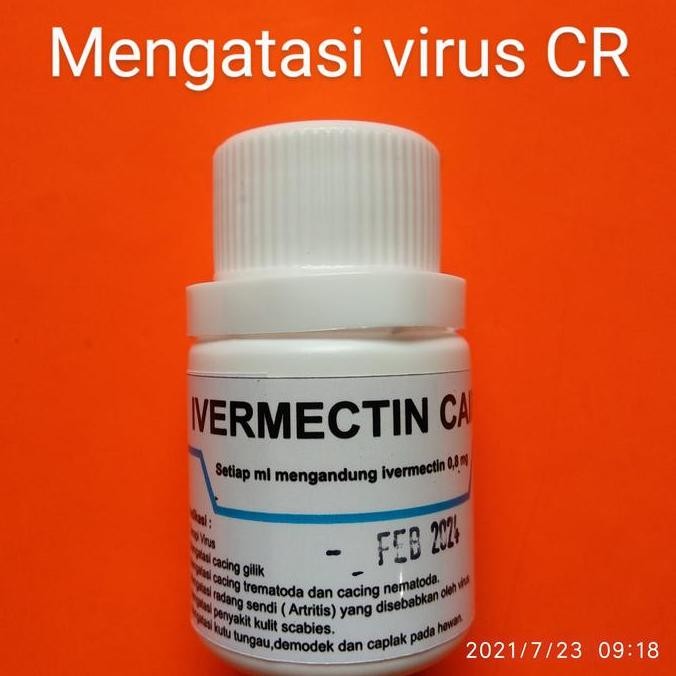 TERLARIS - ivermectin oral,obat demodek,obat kutu,kucing,kelinci,scabies