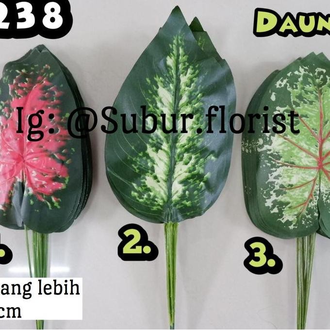

Promo Daun daunan 12pc / Daun sri rejeki / Monstera / Daun Talas COD