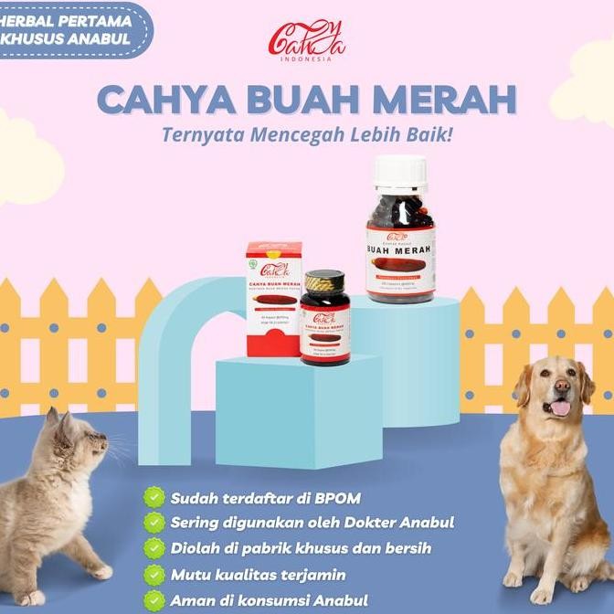 Suplemen Anjing Kucing Sakit K Tumor Cahya Buah Merah Alami