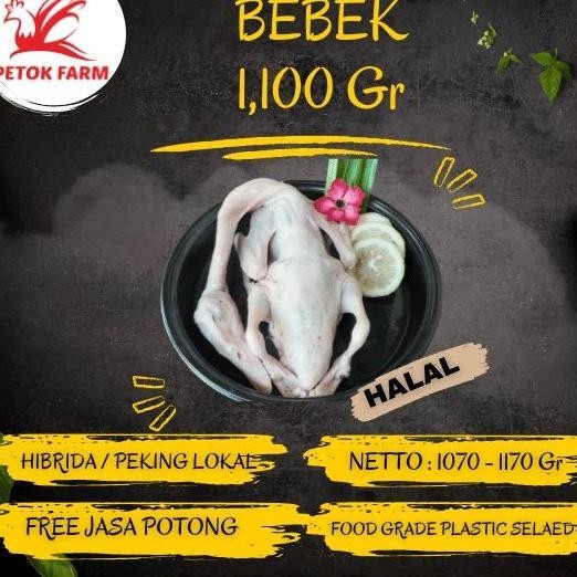 

JH8 Bebek Hibrida 1.100 gr