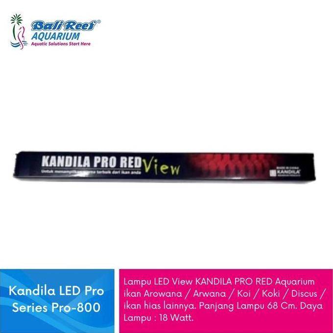 BEBAS ONGKIR - Kandila Lampu Tanning Arwana Super Red Pro Red View