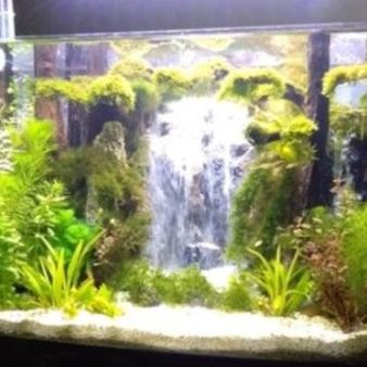 TEBING AIR TERJUN / MINIATUR AIR TERJUN AQUASCAPE / AQUARIUM UK. M