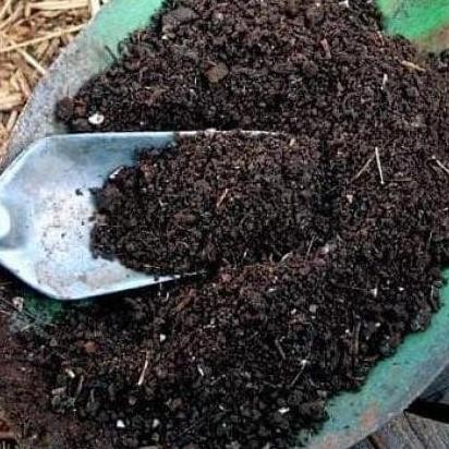 

Terlaris Media Tanam Tanah Subur 1 Zack Pupuk Kandang Pupuk Kompos Gojek Grab