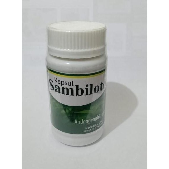 

Terlaris Unik Kapsul Sambiloto Kebun Bibit Ruhama Isi 50 Kapsul Limited Diskon