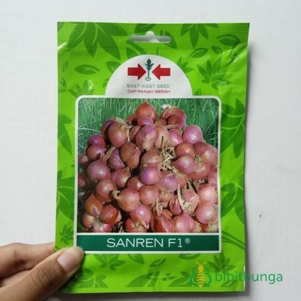 

Terlaris Benih Bibit Bawang Merah Sanren F1 800 Biji Tanaman Cap Panah Merah