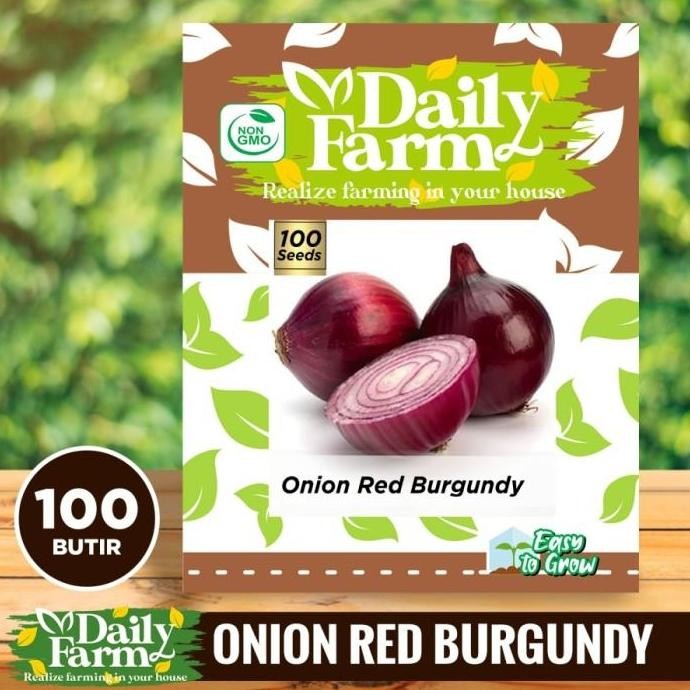 

Terlaris Benih Bibit Bawang Merah Onion Red Burgundy - Daily Farm Terbaru