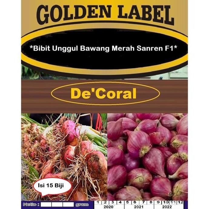 

Terlaris Ready Murah Bibit Unggul Bawang Merah Sanren F1 | Benih Bawang Merah