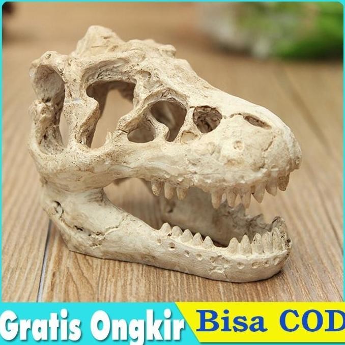 Terlaris Tengkorak Dinosaurus Hiasan Akuarium Fosil Dekorasi Ornamen Aquarium