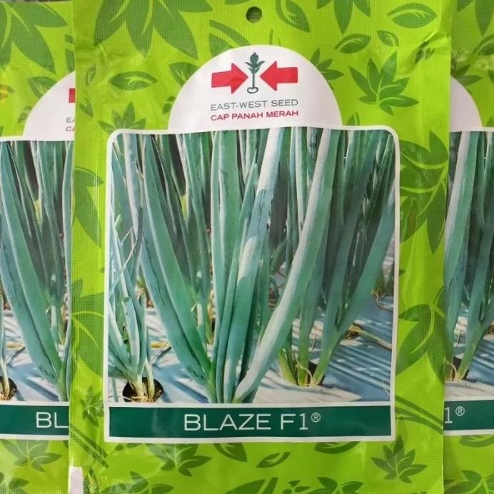 

Terlaris Ready Fresh Bibit Bawang Blaze F1 10Gram Cap Panah Merah
