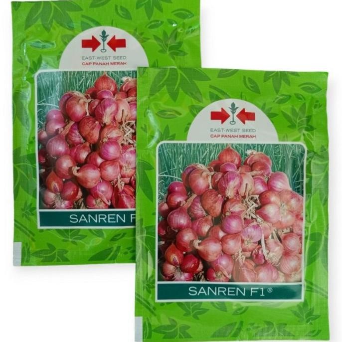 

Terlaris Bibit Bawang Merah Sanren F1 Isi 10 Gram. Benih Bawang Merah