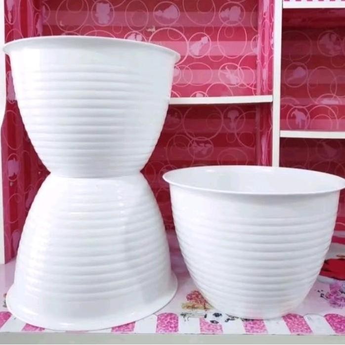 

Terlaris Bibit Tanaman Durian Diameter 3 Up - Kaki 3 Tanaman Durian