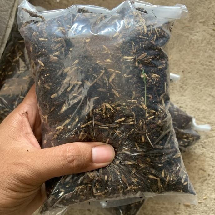 

Terlaris |Best| Pupuk Kandang Kotoran Ayam Fermentasi Murni Halus Kering