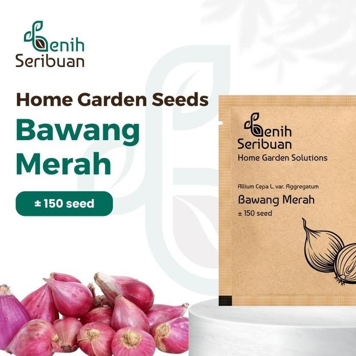 

Terlaris Bibit Bawang Merah Unggul Benih Sayuran Seribuan