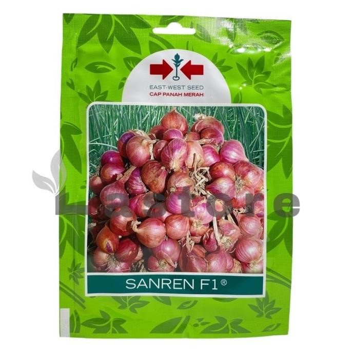

Terlaris Griyana-Benih Bibit Bawang Merah Sanren F1 Cap Panah Merah