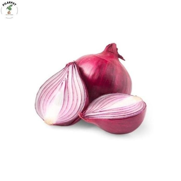 

Terlaris Benih Bibit Bawang Merah Red Burdy Haira Seed - Bawang Merah Red Burdy