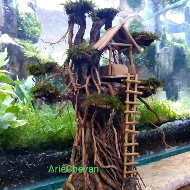 

Terlaris Grosir Hiasan Aquarium Aquascape Rumah Pohon Siap Pasang